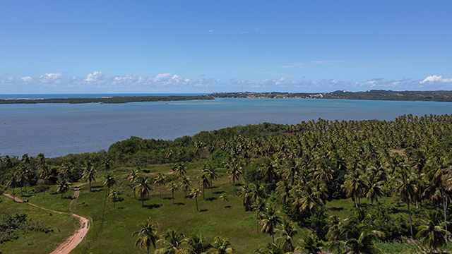 Foto 1 - rea na lagoa de guarairas prximo pipa