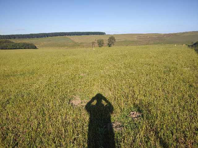 Foto 1 - Barbada fazenda trs mil e duzentos ha