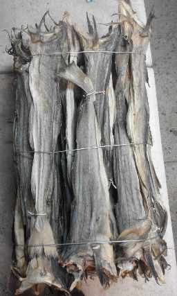 Foto 1 - Stockfish seco noruegus